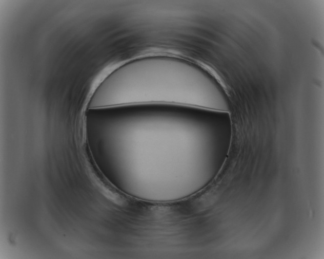X0000091911371200709051203