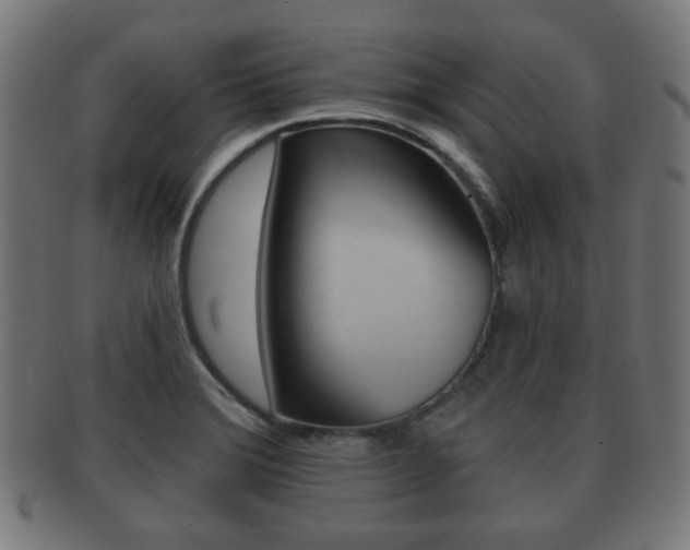 X0000091911372200709051203