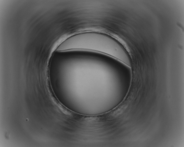 X0000091911373200709051203