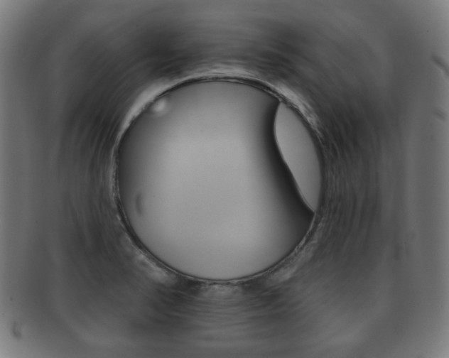 X0000091911374200709051203