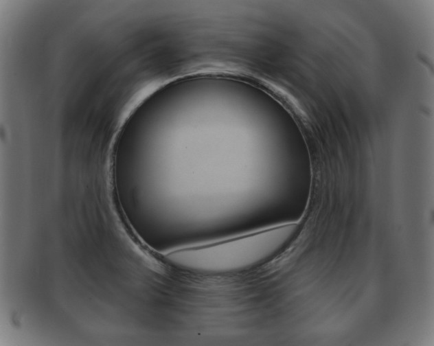 X0000091911375200709051203