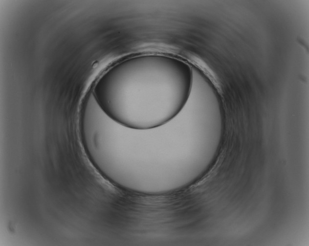 X0000091911376200709051203