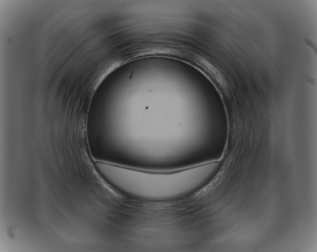 X0000091911377200709051203