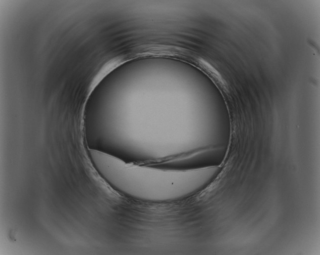 X0000091911378200709051203