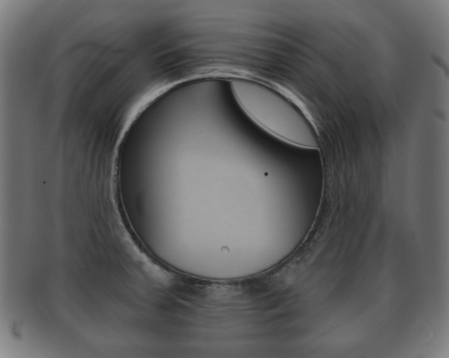 X0000091911379200709051203