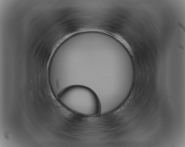 X0000091911380200709051203