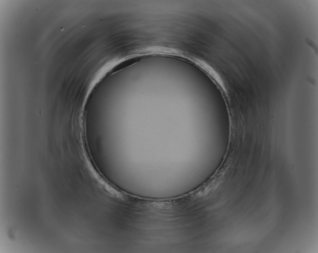 X0000091911381200709051203