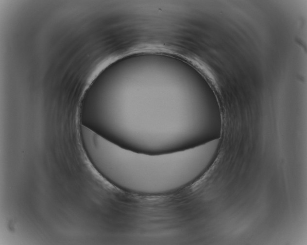 X0000091911382200709051203