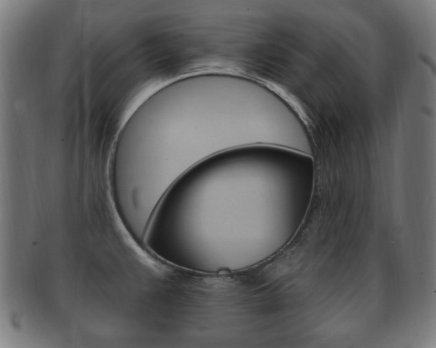 X0000091911383200709051203