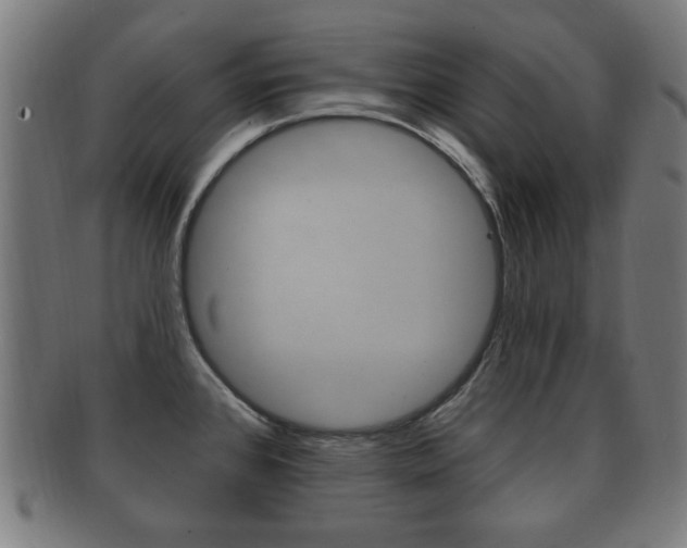 X0000091911384200709051203