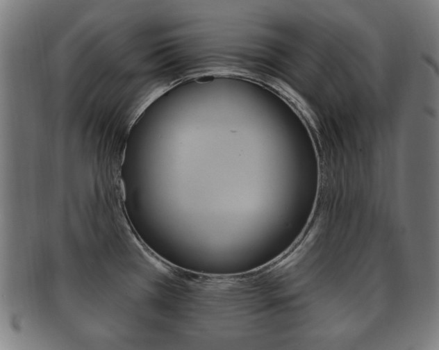 X0000091911385200709051203