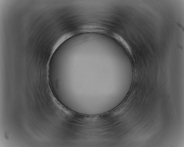 X0000091911386200709051203