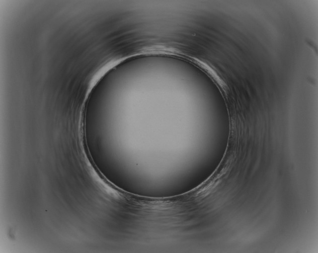 X0000091911387200709051203
