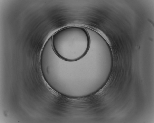 X0000091911388200709051203