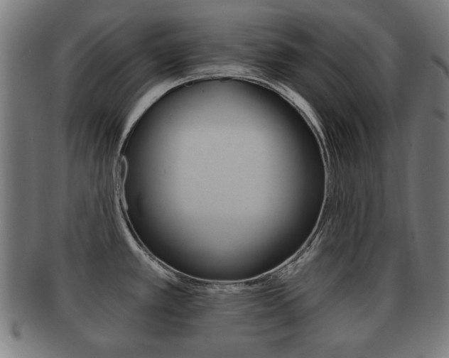 X0000091911389200709051203