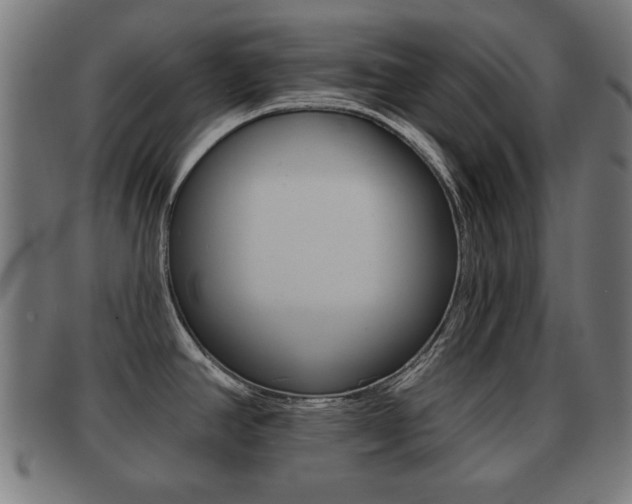 X0000091911390200709051203