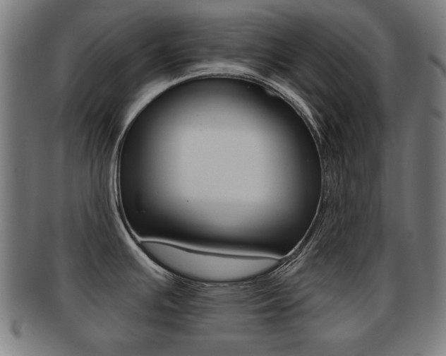X0000091911391200709051203