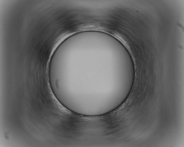 X0000091911392200709051202