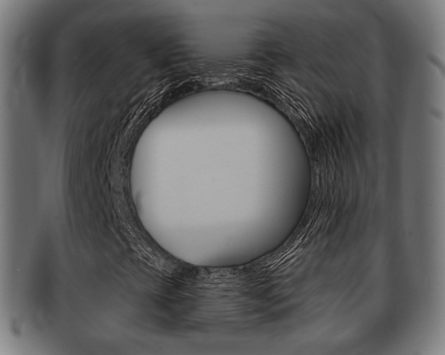 X0000091911393200709051202
