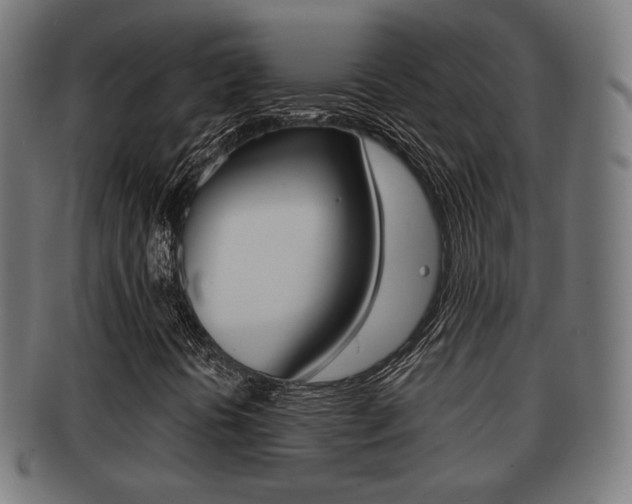 X0000091911394200709051202