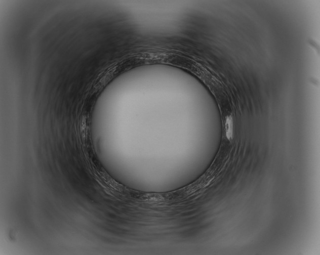 X0000091911395200709051202