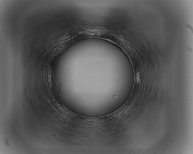 X0000091911396200709051202