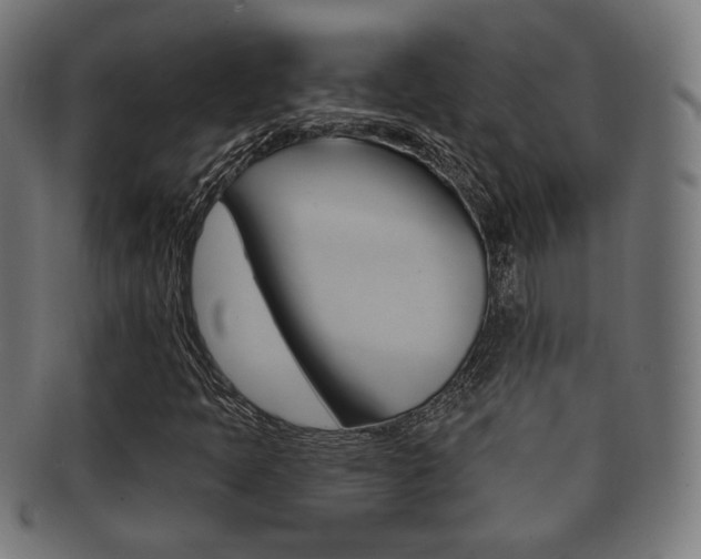 X0000091911397200709051202