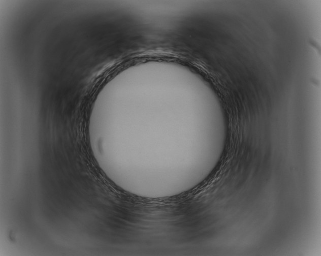 X0000091911398200709051202