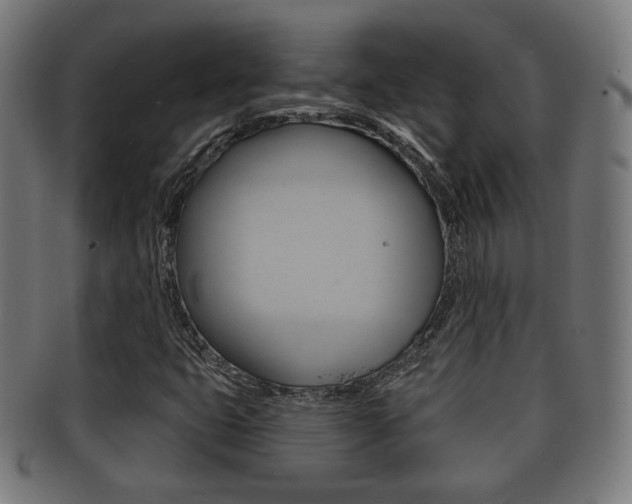 X0000091911399200709051202