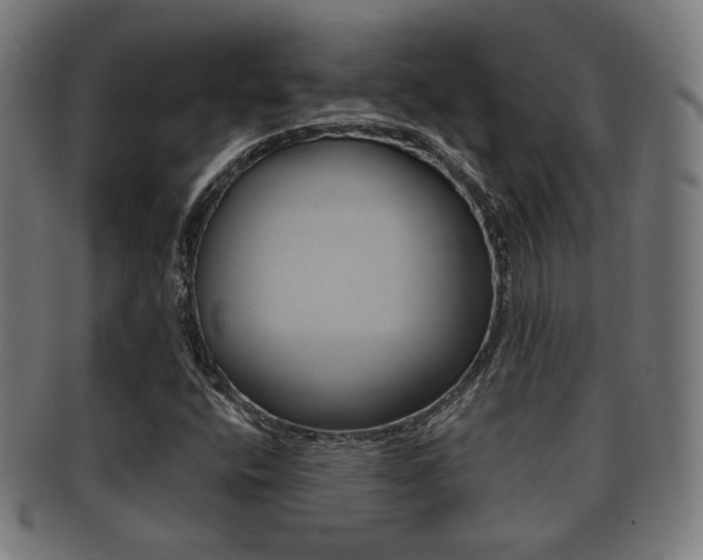 X0000091911400200709051202