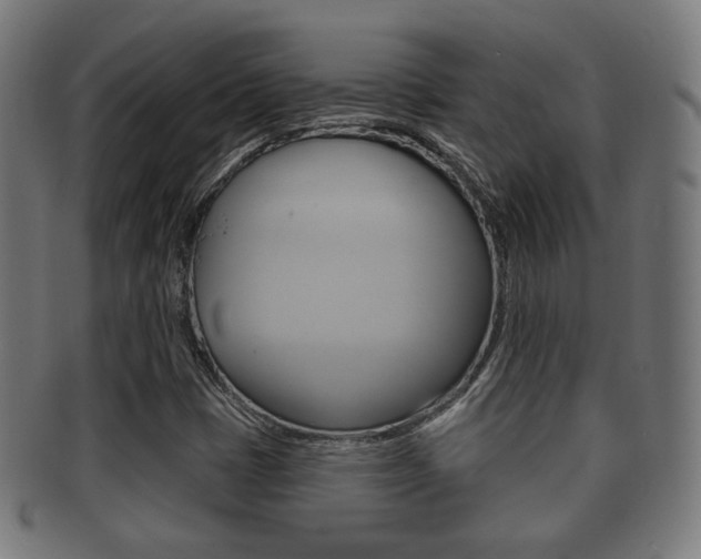 X0000091911401200709051202