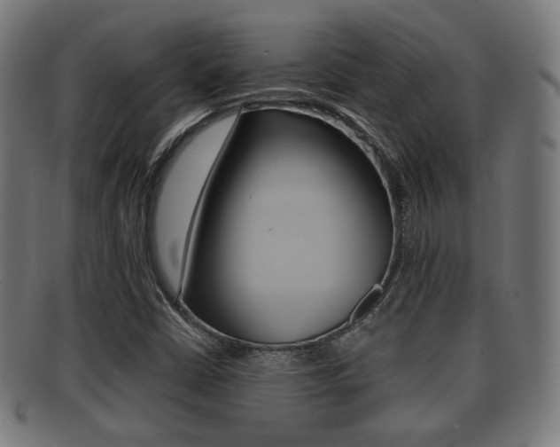 X0000091911402200709051202