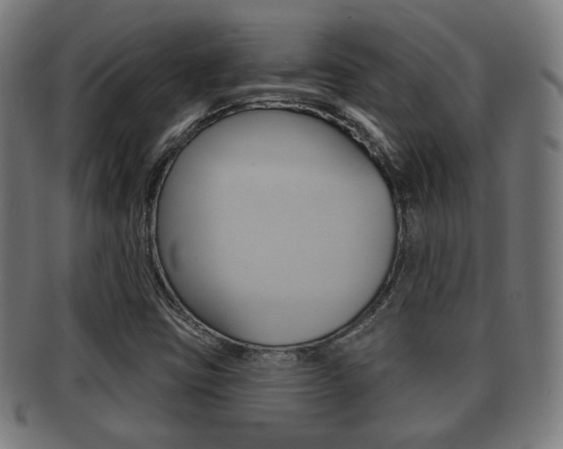 X0000091911403200709051202