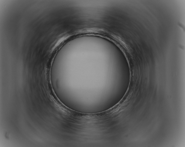 X0000091911404200709051202