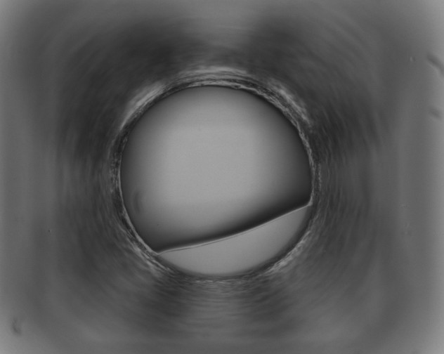 X0000091911405200709051202