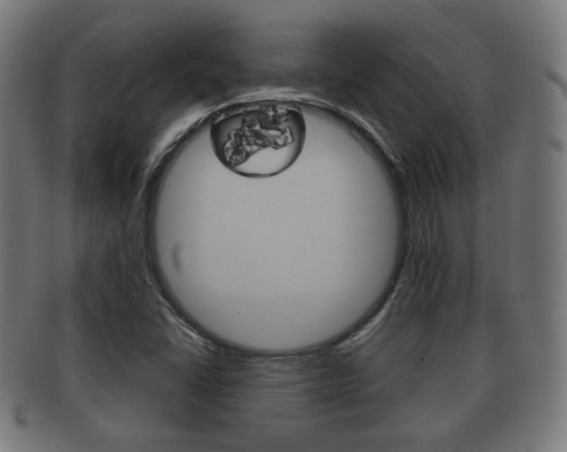X0000091911406200709051202