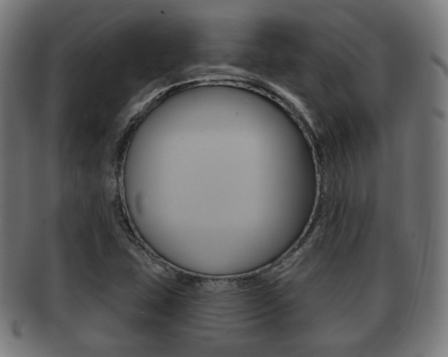 X0000091911407200709051202