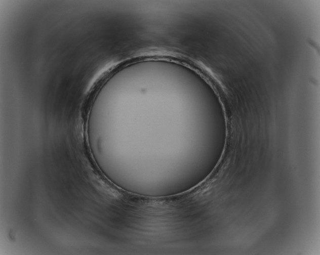 X0000091911408200709051202