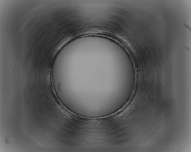 X0000091911409200709051202