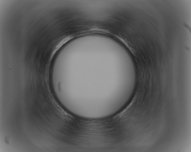 X0000091911410200709051202