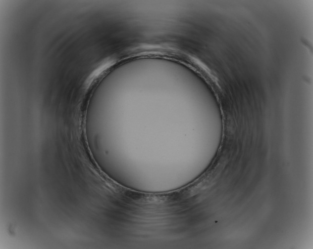 X0000091911411200709051202
