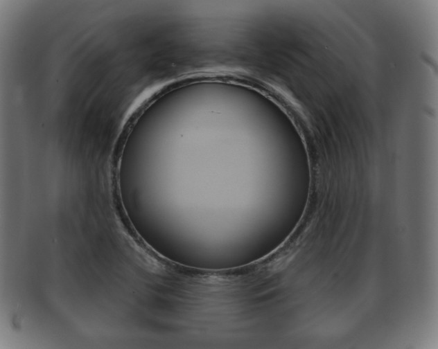 X0000091911412200709051202