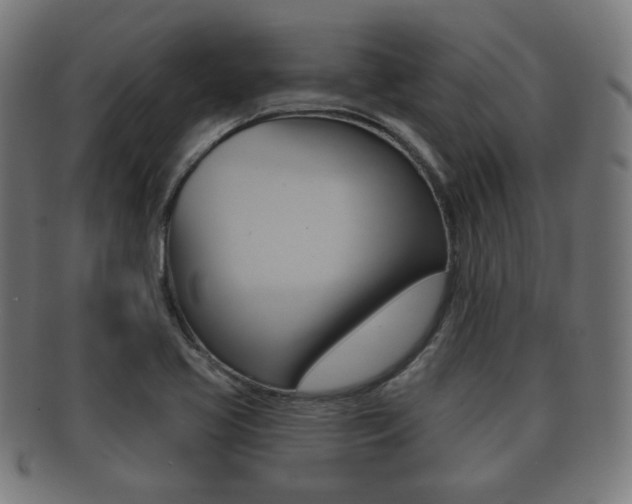 X0000091911413200709051202