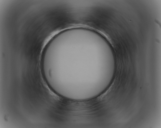 X0000091911414200709051202