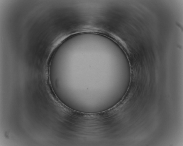 X0000091911415200709051202