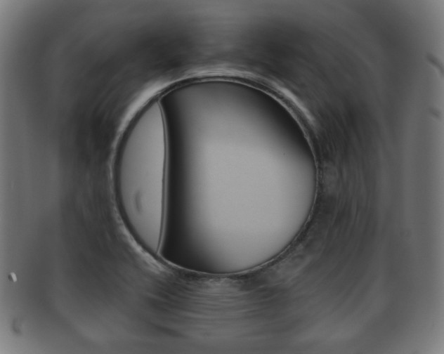 X0000091911416200709051202