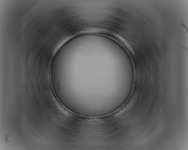 X0000091911417200709051202