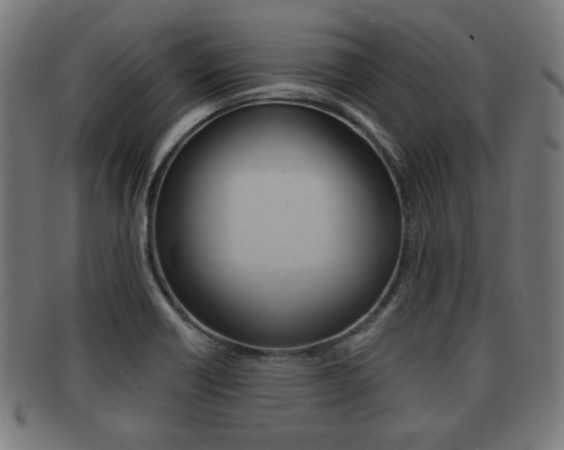X0000091911418200709051202