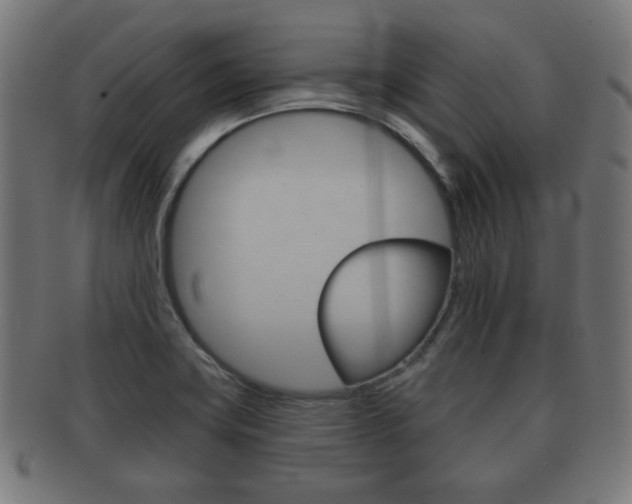 X0000091911419200709051202