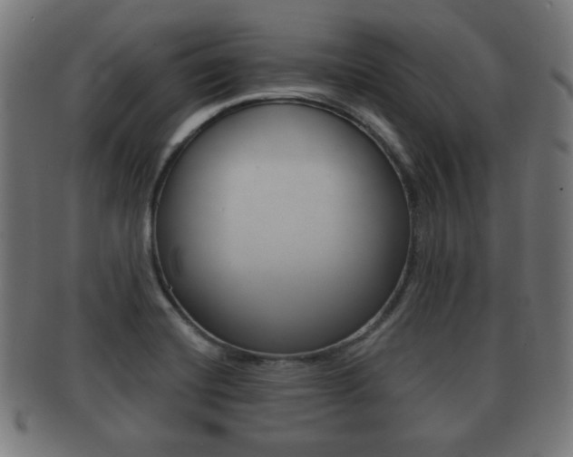 X0000091911420200709051202